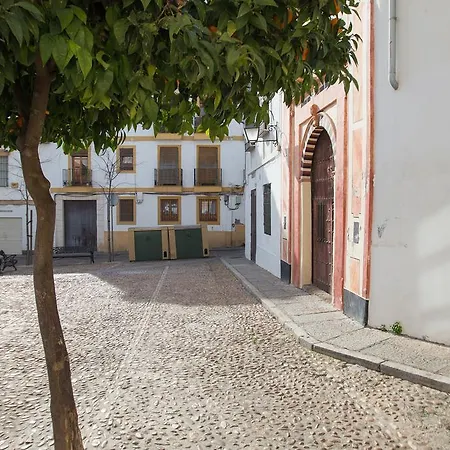 Apartamento Plaza Abades 7 Córdoba Exterior foto